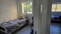 Foto8