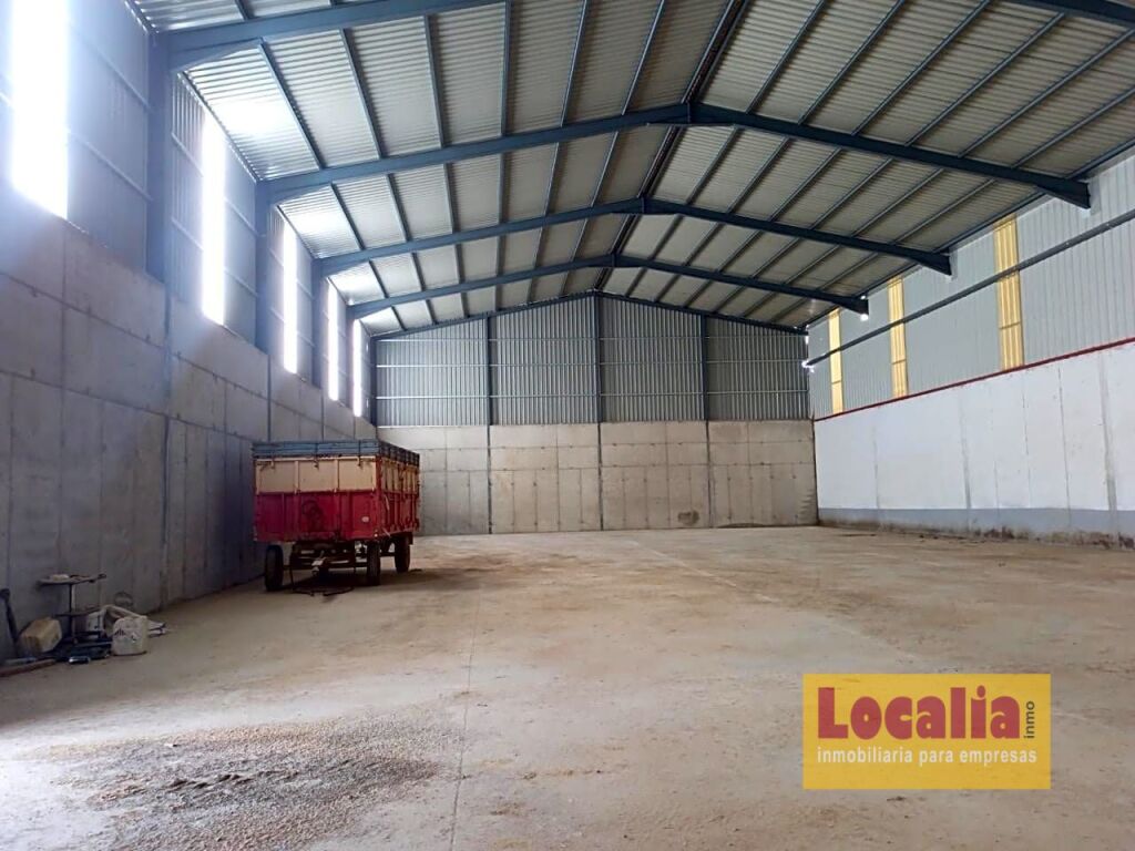 nave granelera en palencia, junto a a-67 foto grande (2)