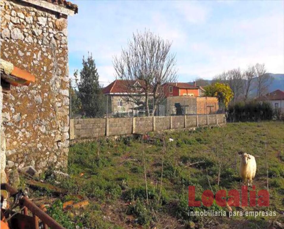 terreno urbano de 2118m² en solórzano foto grande (2)