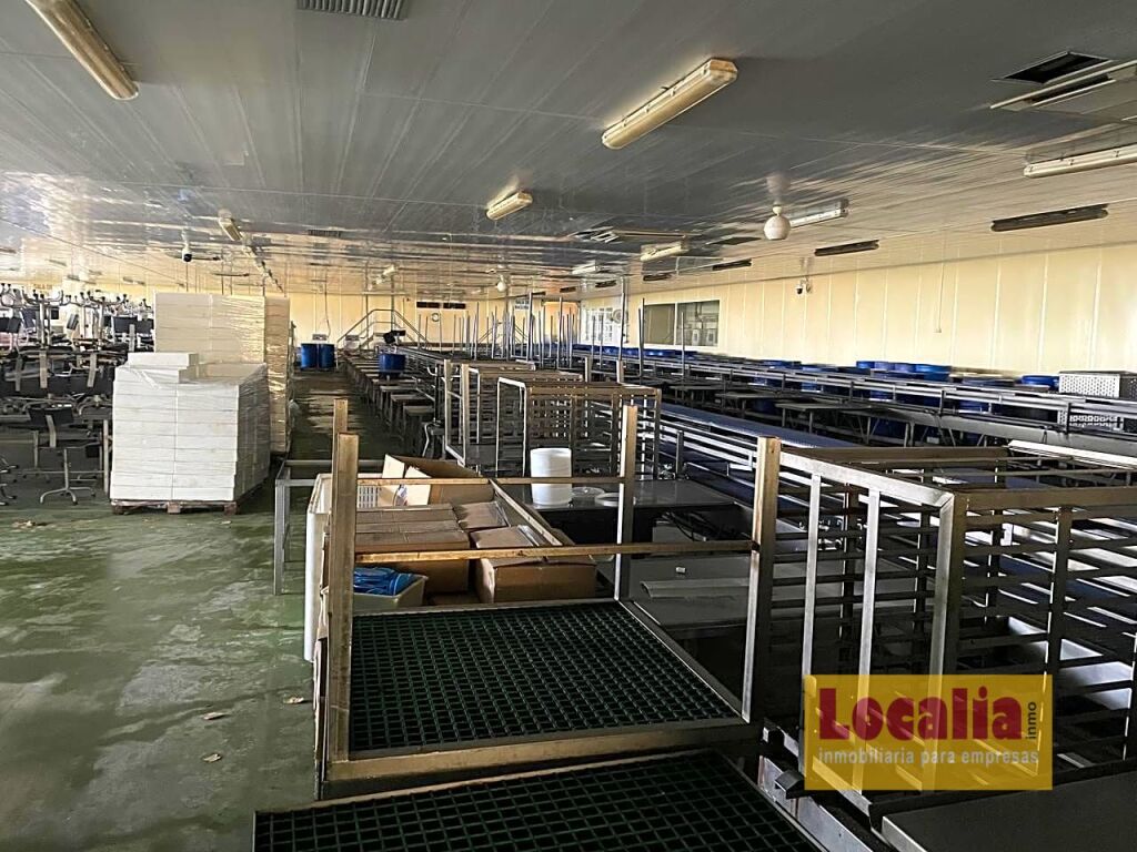 fábrica de conservas de alimentos en cantabria foto grande (2)