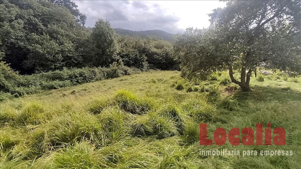 Foto extenso suelo urbano limpias, cantabria