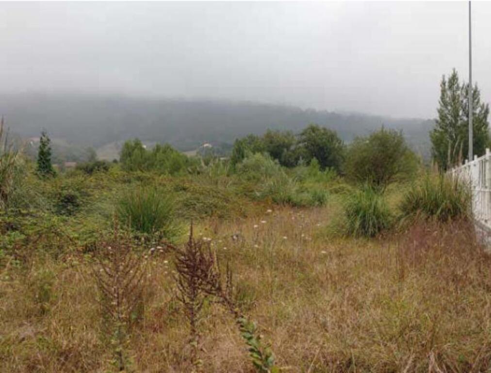 terreno en venta en oviedo de 1900 m2 foto grande (3)