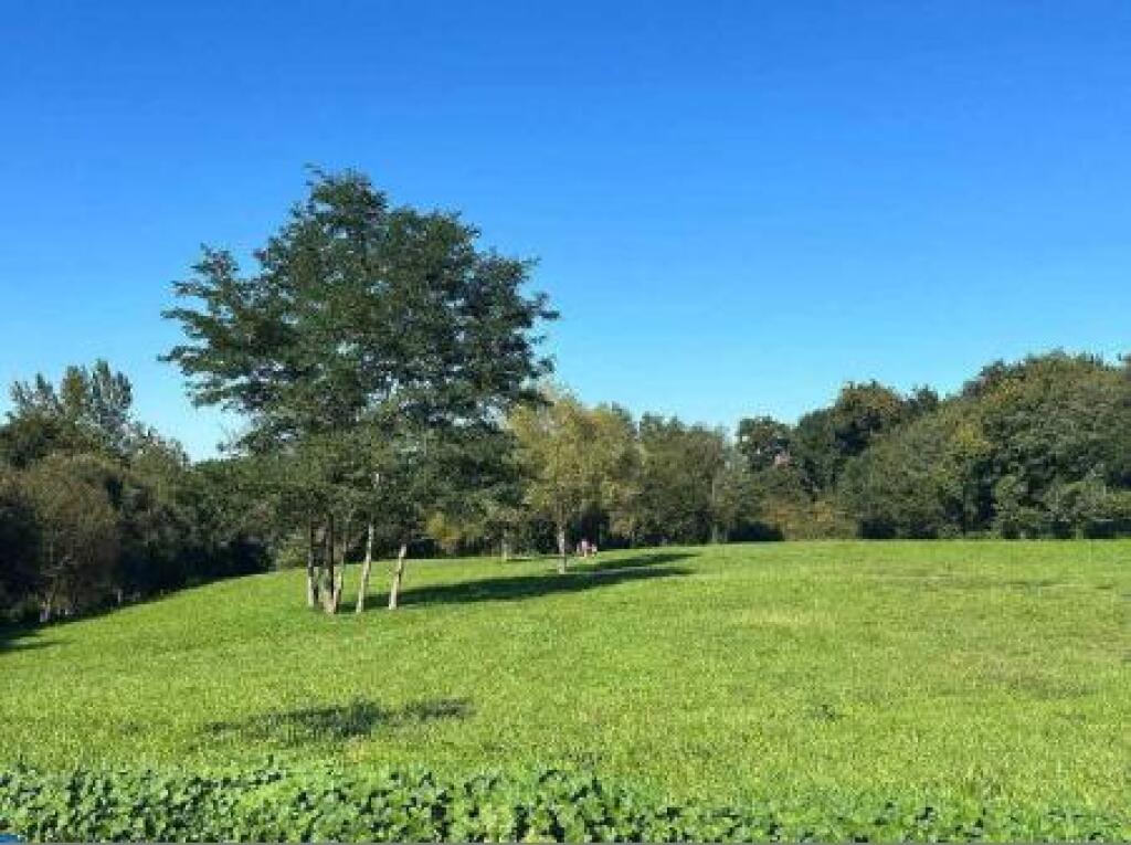 oportunidad de inversión para promoción en oviedo foto grande (2)