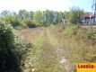 Foto6