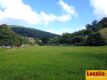 Foto11