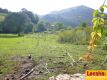 Foto9