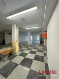 Foto7