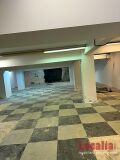 Foto11