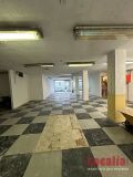 Foto6