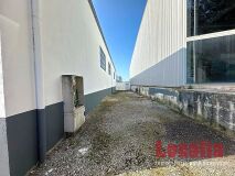 Foto11