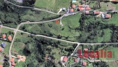 Foto2