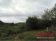 Foto9