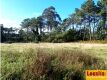 Foto8