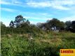 Foto9