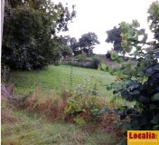Foto6