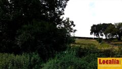 Foto8