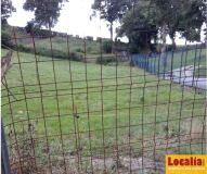 Foto5