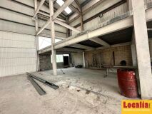 Foto8