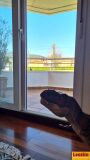 Foto18