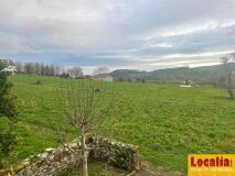 Foto15