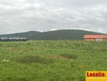 Foto16