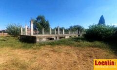 Foto6