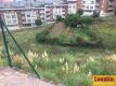 Foto12