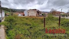 Foto3