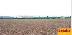 Foto4