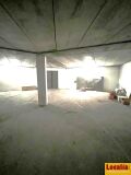 Foto5