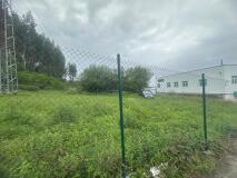 Foto4