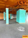 Foto7