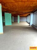 Foto8