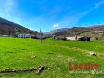 Foto5