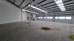 Foto5