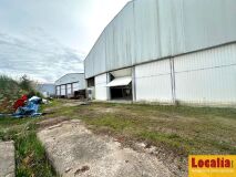 Foto12