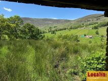 Foto46