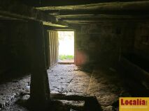Foto41