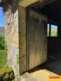 Foto50