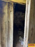 Foto43
