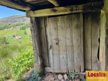 Foto43