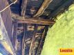 Foto9