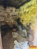 Foto42