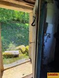 Foto66