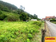 Foto6