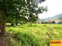 Foto8