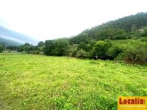 Foto4