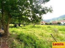 Foto6