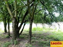 Foto14