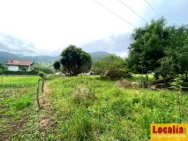 Foto11